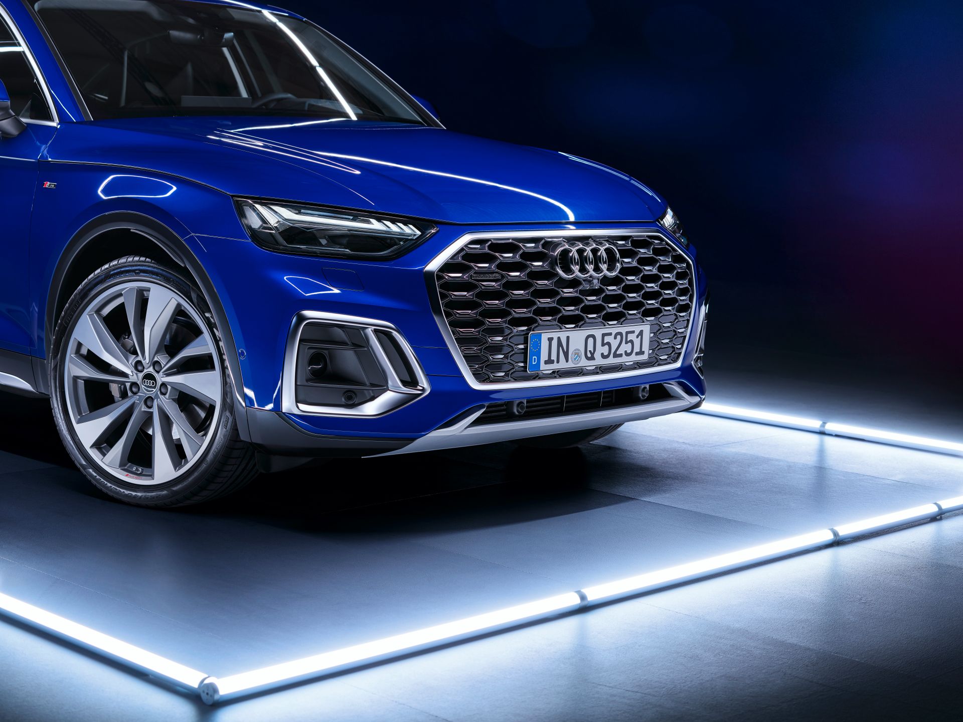 Griglia ottagonale Audi Q5 Sportback