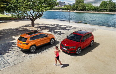 Skoda Karoq 2022