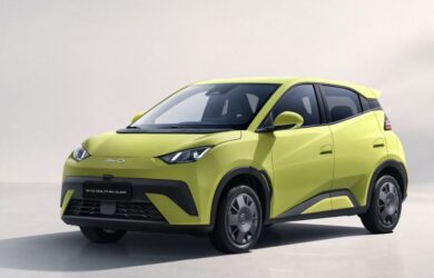BYD Dolphin Surf city car elettrica 2025