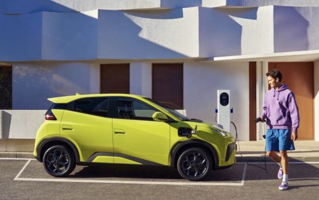 Fiancata nuova auto elettrica BYD Dolphin Surf 2025