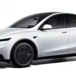 Model Y Standard 2025