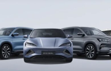 Gamma Auto BYD 2026
